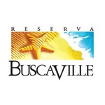 busca ville 1